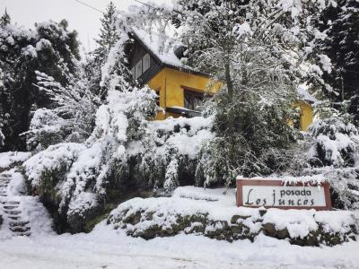 Juncos Patagonian House Pensão