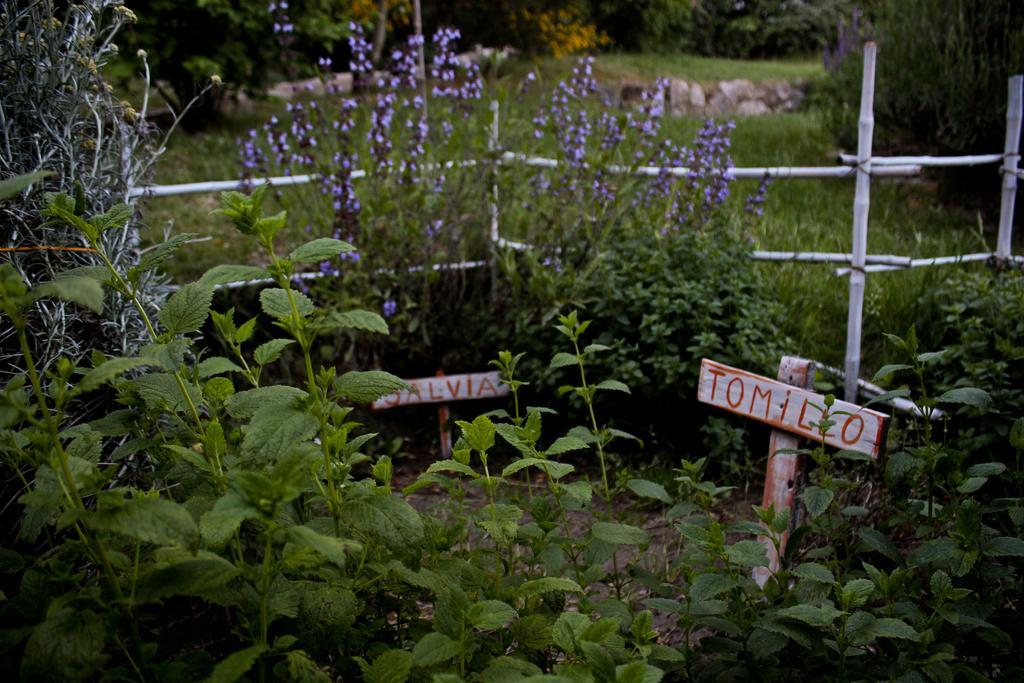 Juncos Patagonian House