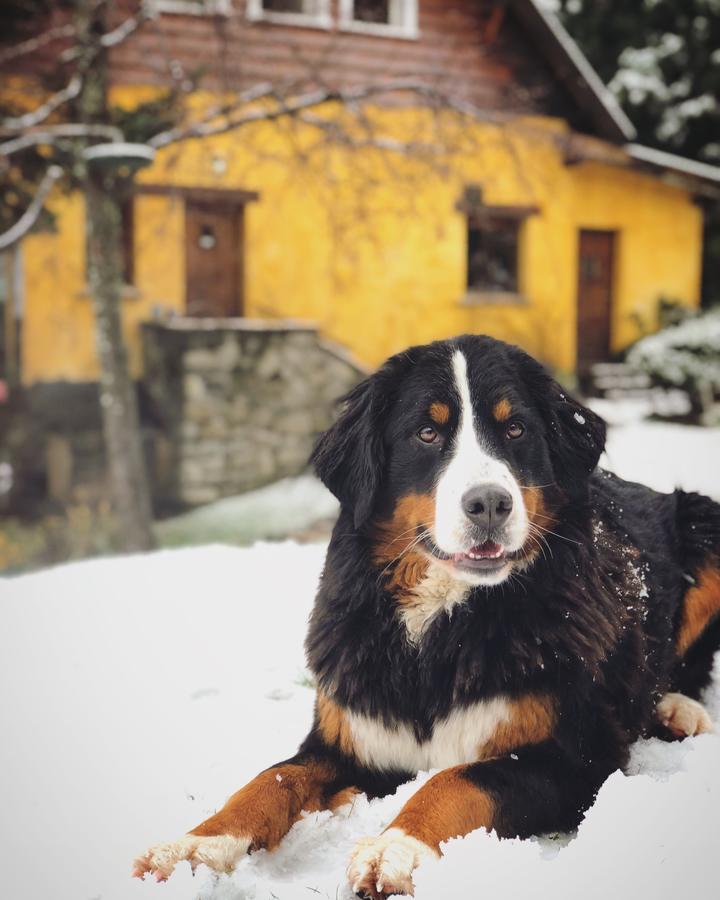Juncos Patagonian House Pensão San Carlos de Bariloche